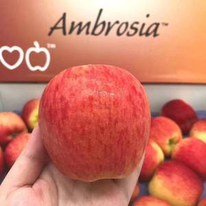 新鲜水果新西兰ambrosia神仙果嘎啦果苹果20只85元包江浙沪皖