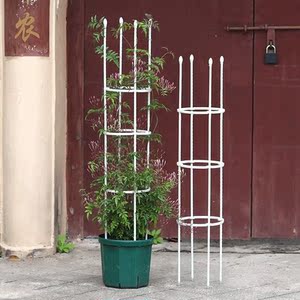 球兰花爬藤架昙花专用支架蟹爪兰防倒伏种菜架子园艺花架爬藤花盆