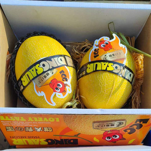 【礼盒装】顺丰 新疆哈密瓜恐龙蛋黄金蜜瓜当季新鲜水果