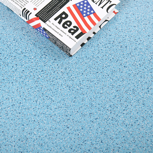 安舒地板革家用