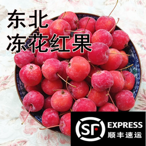 超人强程玉淘宝东北青k9沙果海棠果顺丰包邮花红迷你小苹果开久新鲜