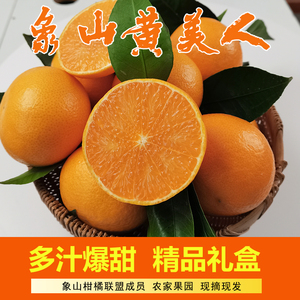 正宗象山黄美人蜜桔新鲜爱媛68柑橘柑橘子大棚爆甜礼盒装非红美人