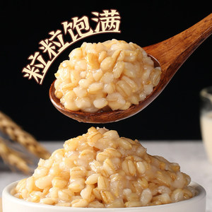 骏升燕麦糖水即食奶茶店甜品专用原料紫米红豆酱颗