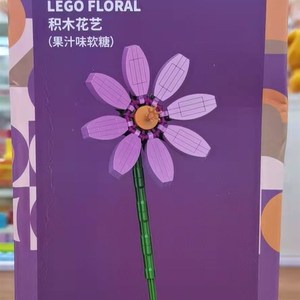 2021新品叮小启积木象艺15克起色堇益智装备马发想.花果汁软糖