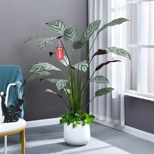 仿真绿植飞羽竹芋旅人蕉室内装饰客厅玄关造景仿生假植物大型盆栽