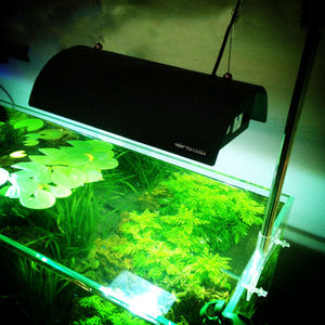 奥德赛专业水草灯