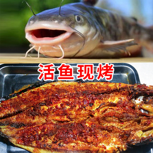 爆辣美味河南烤鲶鱼火锅食材便捷半成品美食聚餐家乡味顺丰新鲜