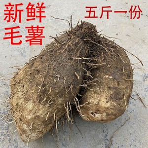 湖北新鲜脚板薯毛薯白心淮山药大薯香甜自种蔬菜粉糯农家五斤包邮