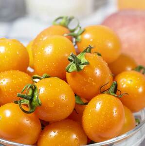 【顺丰】黄色小番茄5斤夏日阳光新鲜水果圣女果小柿子千禧果w