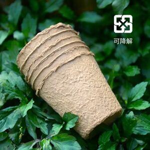 育苗纸钵纸浆育苗杯可降解一次性营b养杯培育盆营养盆8*8*5cm绿植