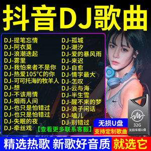 歌曲网红流行最中文dj经典高品质音乐写真音响工体串烧无损mp34优盘