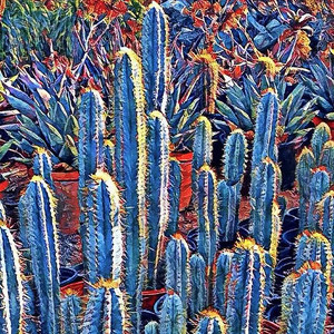 8027人付款淘宝沙生植物进口蓝柱蓝色仙人球仙人掌恐龙柱创意室内办公