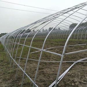 000人付款淘宝大棚管大棚架子骨架30*60冷棚暖棚蔬菜棚水果棚种植棚