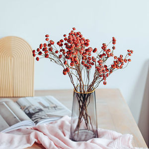 【干花真花红豆】干花真花红豆品牌,价格 - 阿里巴巴