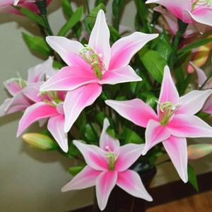 白百合丝网花材料