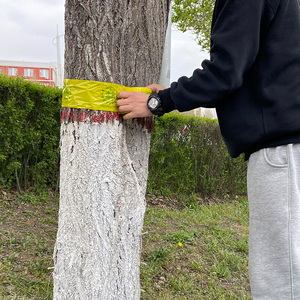 880人付款淘宝金康科技树木防虫胶带黏虫 粘虫 林业专