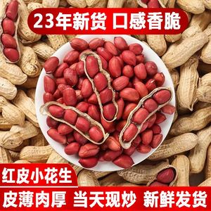 生花生不带壳晒干山东农家红衣花生米小粒新鲜种子2023红皮花生