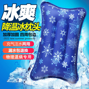 物理退烧降温水枕头冰枕儿童成人专用夏季冰凉大人学生注水垫水袋