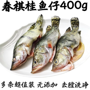 桂鱼仔鳜鱼新鲜活杀净膛多条超值鲜桂鱼装冷冻半成品特色酒店食材