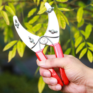彩色胶柄环d割修剪树木剪刀葡萄环剥剪扒树皮刀环枝剪环割剪刀