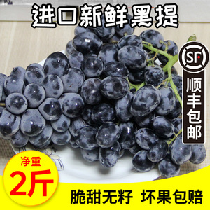 现货无籽黑提2斤装新鲜黑加仑葡萄进口提子时令水果顺丰