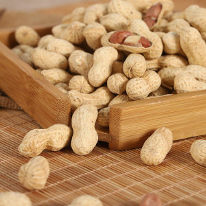 山核桃花生小珍珠带壳300g包装袋装炒货零食1