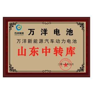 万洋非超威天能12伏48v60v电瓶车52ah安电动三轮车电瓶铅酸蓄电池