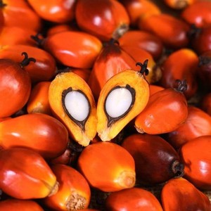 820人付款淘宝吃播网红食品糖棕果泰国棕榈籽棕榈果亚答积亚答子果实