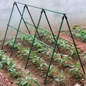 架子爬藤架子花支架阳台果蔬菜地菜架葡j萄树庭园砍瓜苦瓜架室内