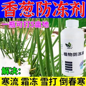 大葱防冻液抗冻剂抗寒叶肥果树蔬菜苗木防寒抗冻香葱磁化防冻剂液