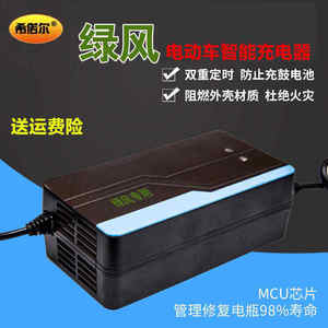 绿风电动车电瓶充电器48V12AH60V20A64V72V32A30A84V96V45A