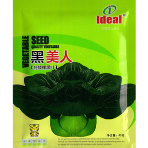 苏州青种子油菜种籽黑美人青梗菜菜籽大棵小青菜蔬菜孑上海青大全