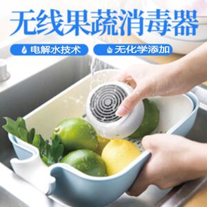 德国果蔬清洗机家用洗菜消毒神器水果蔬菜去农残活氧食材净化器
