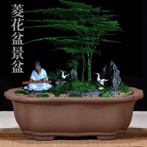 长形花盆宜兴紫砂特大号盆景盆室内阳台花卉绿植陶瓷花盆兰花盆景