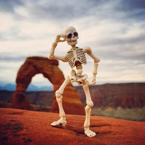 000人付款淘宝现货 re-ment 正品可动食玩 骷髅人系列 骷髅恐龙骨架