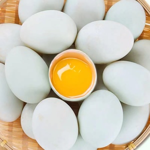 【巨划算】安徽鸭蛋10枚装农家散养本土水生态营养美味新鲜青壳蛋