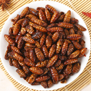 庞香斋蚕蛹开袋即食油炸香酥微辣蛹子下酒菜零食5
