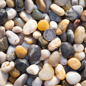 00郫县花卉店淘宝成都鹅卵石天然小石头白色小石子黑色石子花盆盆栽