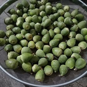 霹雳果籽-淘宝拼多多热销霹雳果籽货源拿货 - 阿里巴巴货源