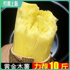 黄心木薯新鲜5斤黄金木薯现挖粉糯食用糖水广西黄肉鸡蛋面包木薯