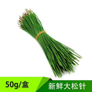 新鲜枞松针马尾松50g黑松非香松黄金柳芽西餐冷菜摆盘装饰长松针