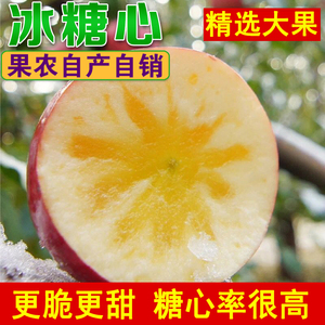 2024年新苹果冰糖心丰县大沙河红富士当季水果孕妇脆甜丑苹果10斤
