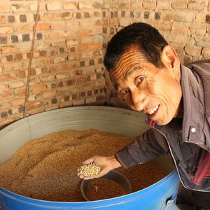 老专用肾形黄豆打豆浆发豆芽品种非转基因农家自产扁黄豆豆子