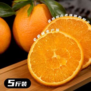 老疯杨生产队老疯杨四川西充老疯杨疯杨橙5斤狗粪橙子