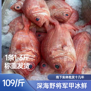 海钓深海鱼将军甲鱼冰鲜刺身生红鰃鳞鱼红鱼 1斤的价格2条起发