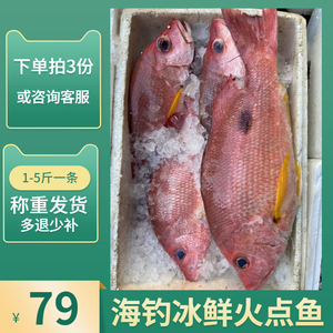火点鱼刺身金焰笛鲷真鲷鱼海钓新鲜红鱼火点鱼点志鱼