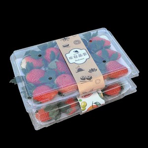 草莓包装泡沫垫