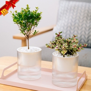 懒人自动吸水花盆墙上多肉绿萝壁挂塑料加厚盆栽水培花盆种植养花