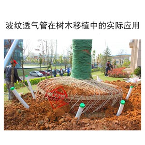 树木移栽透气管 波纹通气透水管 施肥施药管 大树土球通气管锋比