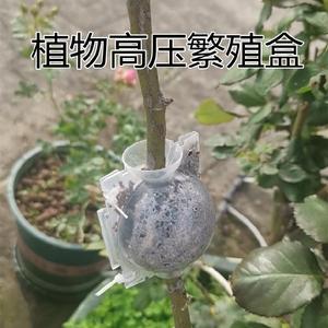 植物高压繁殖盒繁殖器球嫁接包盆景栽培压枝盒8.5cm高压包12cm6cm